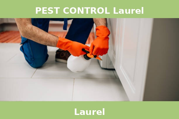 PEST CONTROL Laurel